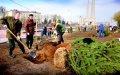 АЛЛЕЯ ПАМЯТИ В ЧЕСТЬ ОСВОБОДИТЕЛЕЙ
